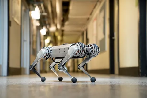 Autonomous Navigation